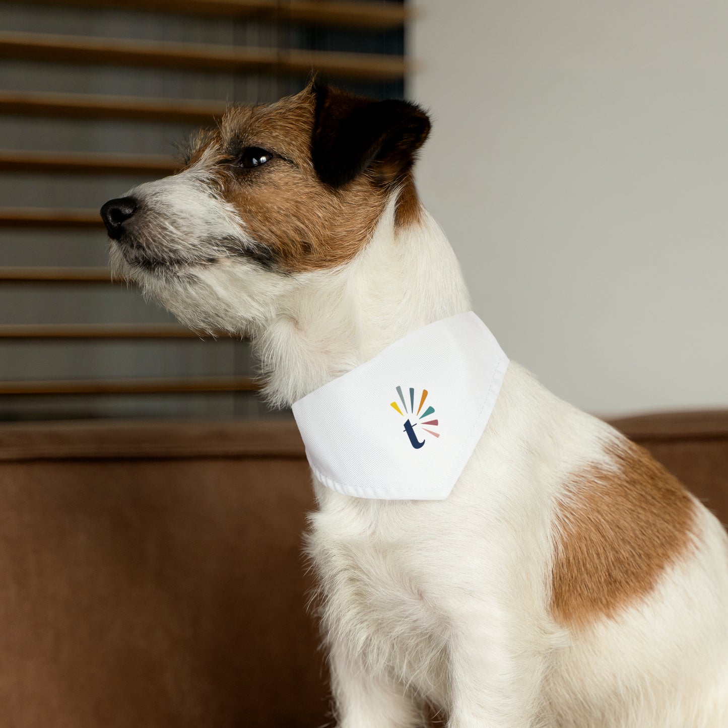 Pet Bandana Collar (T Logo)