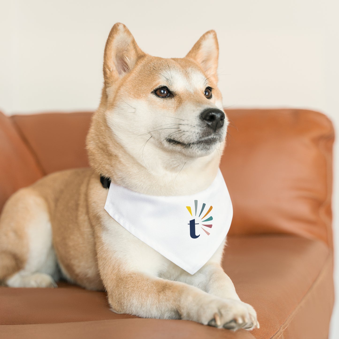 Pet Bandana Collar (T Logo)