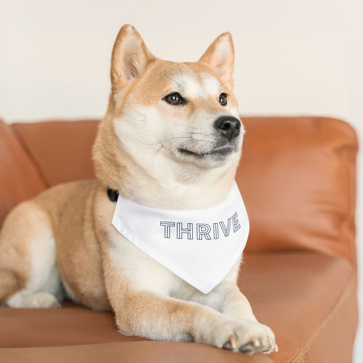 Pet Bandana Collar (Design 2)
