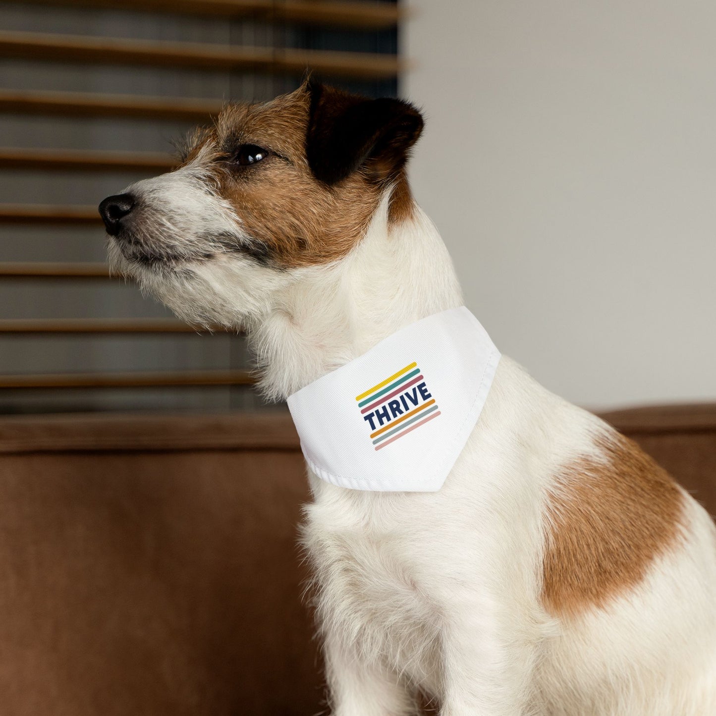 Pet Bandana Collar (Design 2)