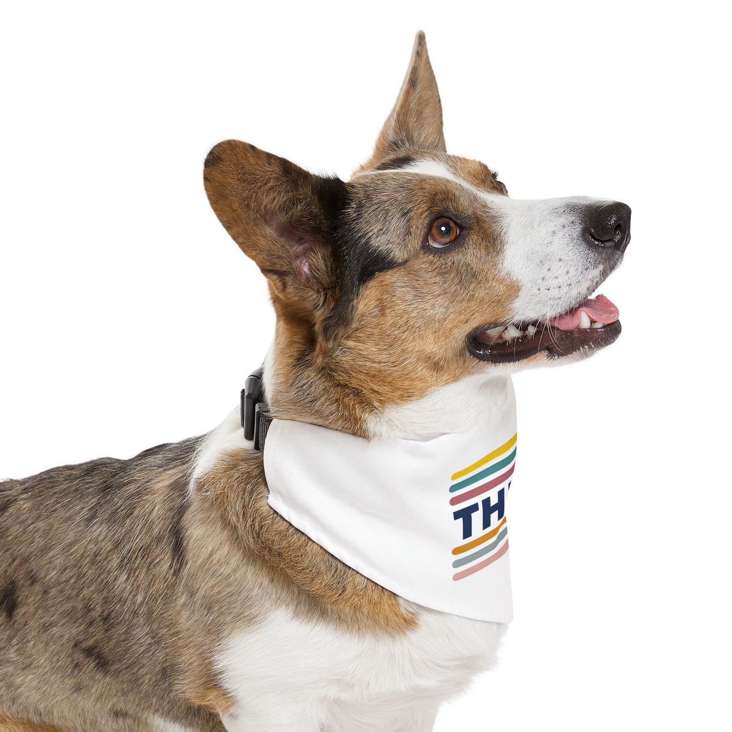 Pet Bandana Collar (Design 2)