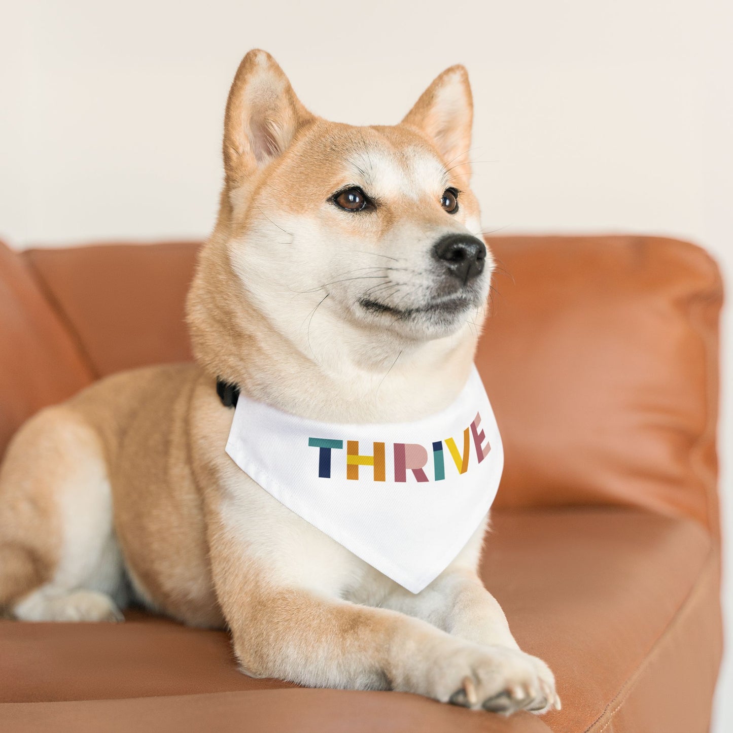 Pet Bandana Collar (Design 1)