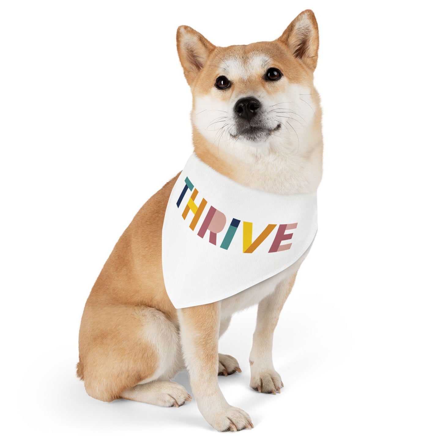 Pet Bandana Collar (Design 1)
