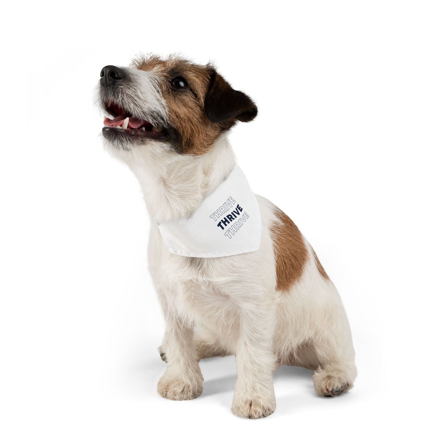 Pet Bandana Collar (Design 1)
