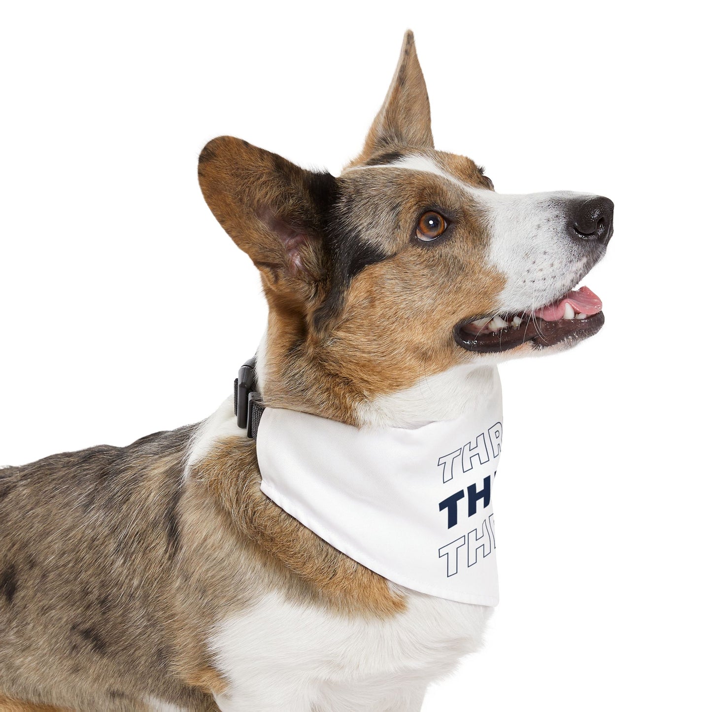 Pet Bandana Collar (Design 1)