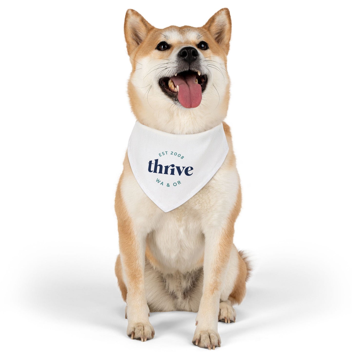 Pet Bandana Collar (Design 3)