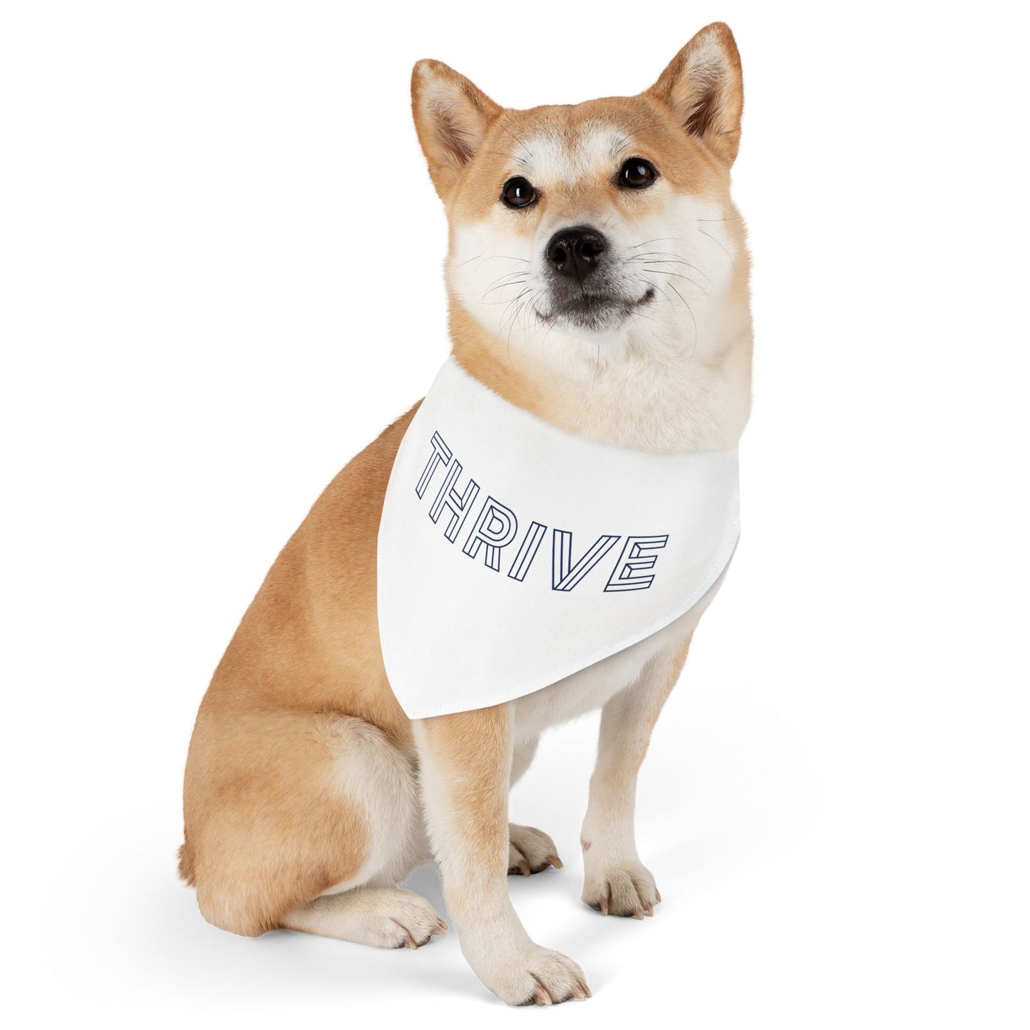 Pet Bandana Collar (Design 2)