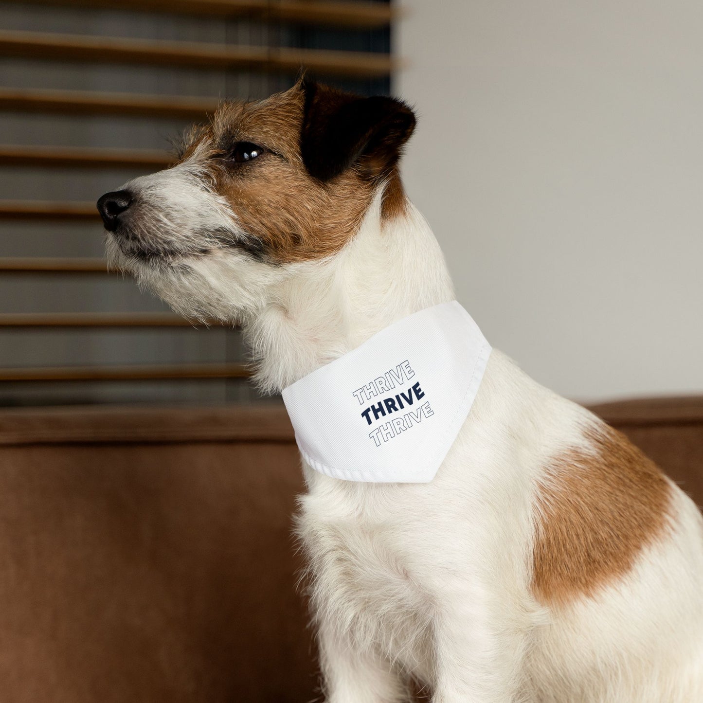 Pet Bandana Collar (Design 1)
