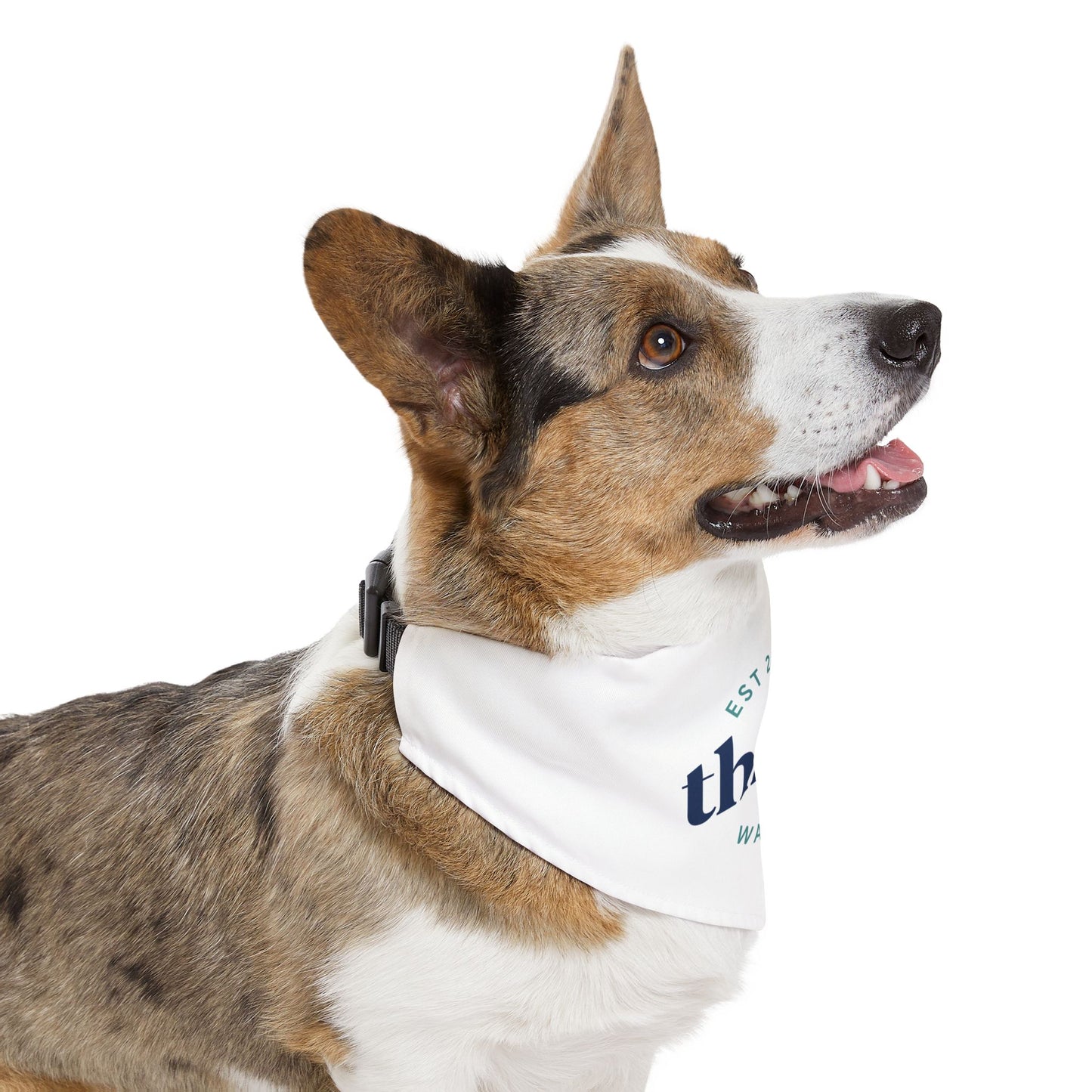 Pet Bandana Collar (Design 3)