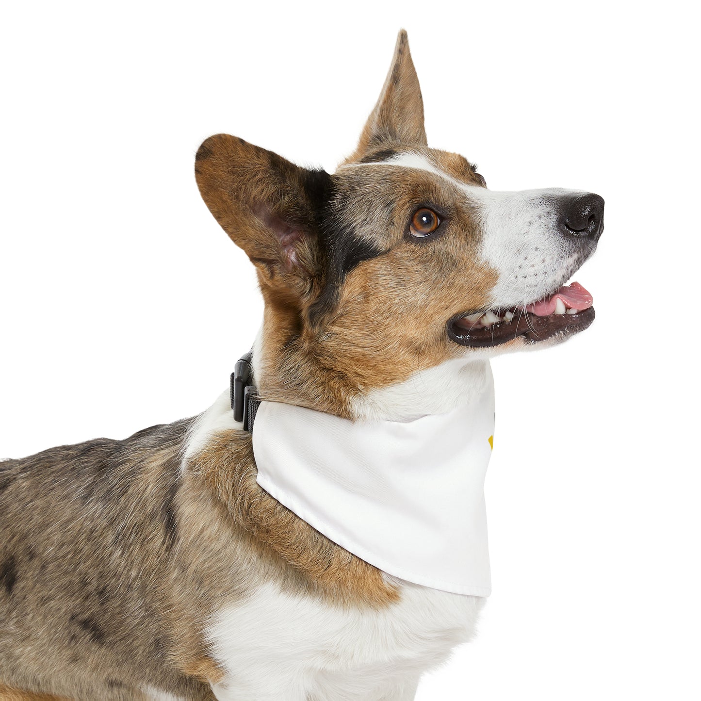 Pet Bandana Collar (T Logo)
