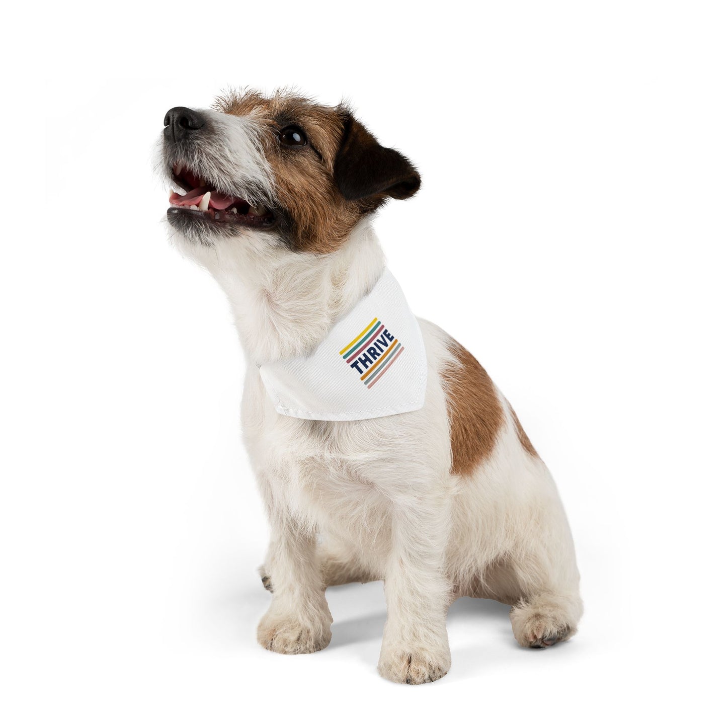 Pet Bandana Collar (Design 2)