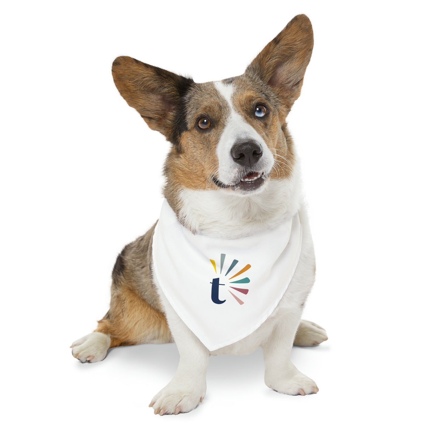 Pet Bandana Collar (T Logo)